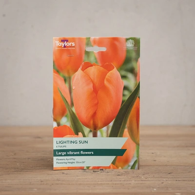 Tulip Lighting Sun