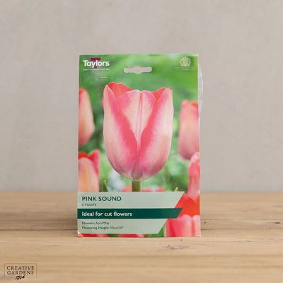 Tulip Pink Sound