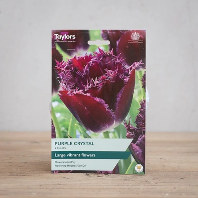 Tulip Purple Crystal
