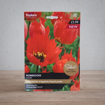 Tulip Robbedoes