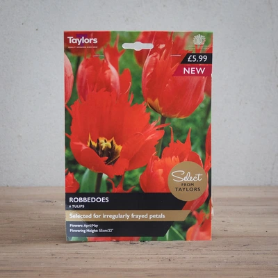 Tulip Robbedoes