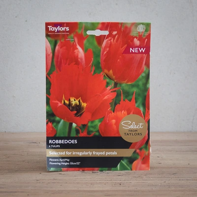 Tulip Robbedoes