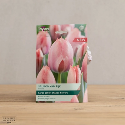 Tulip Salmon Van Eijk