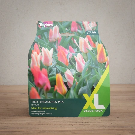 Tulip Tiny Treasures Mix