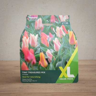Tulip Tiny Treasures Mix