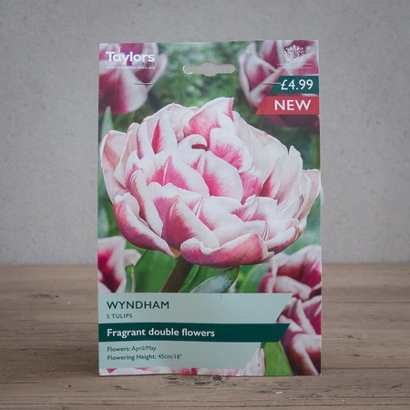 Tulip Wyndham