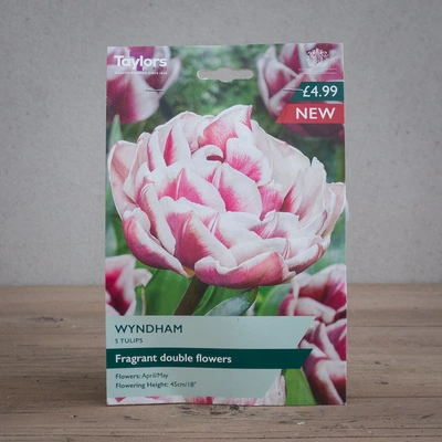 Tulip Wyndham