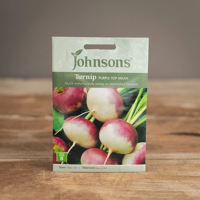 Turnip Purple Top Milan - image 1