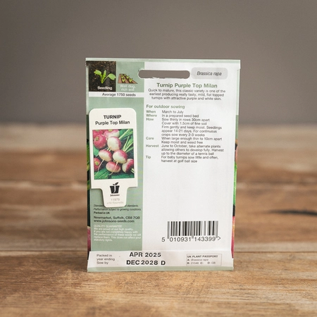 Turnip Purple Top Milan - image 2