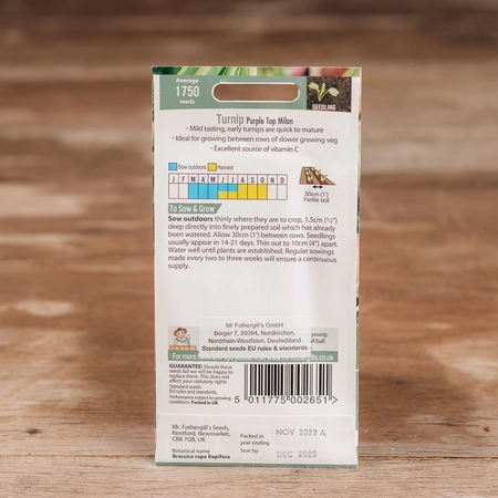 Turnip Purple Top Milan - image 2