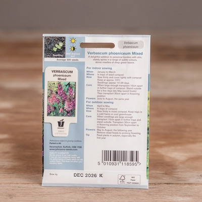 Verbascum Phoeniceum Mix - image 2