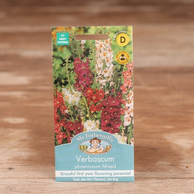 Verbascum Phoeniceum Mix - image 1