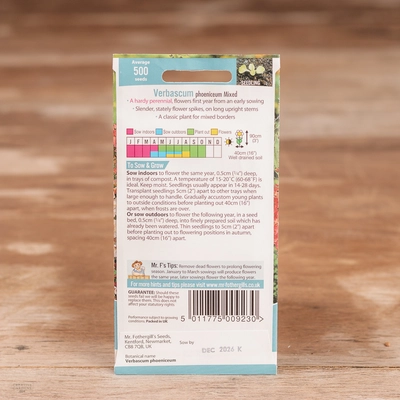 Verbascum Phoeniceum Mix - image 2