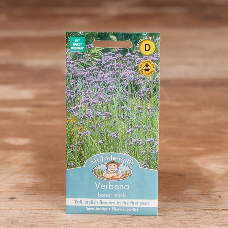 Verbena Bonariensis - image 1