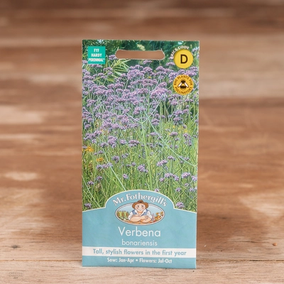 Verbena Bonariensis - image 1