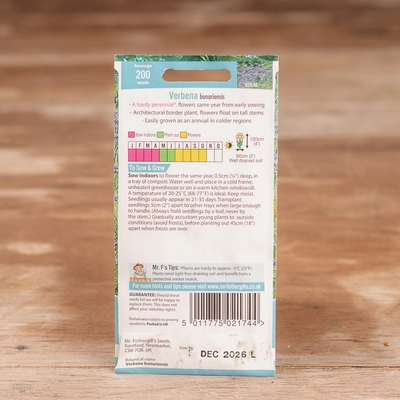 Verbena Bonariensis - image 2