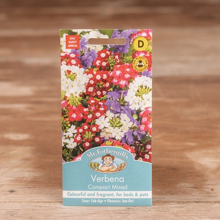Verbena Compact Mix - image 1