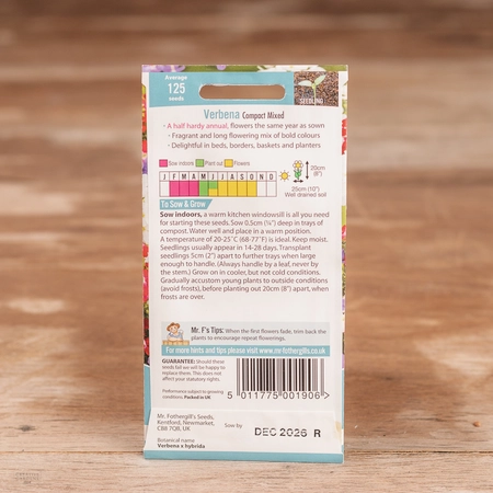 Verbena Compact Mix - image 2