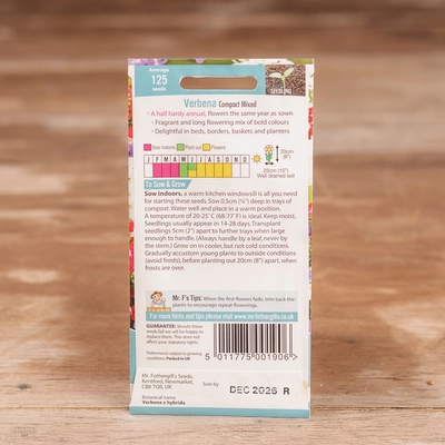 Verbena Compact Mix - image 2
