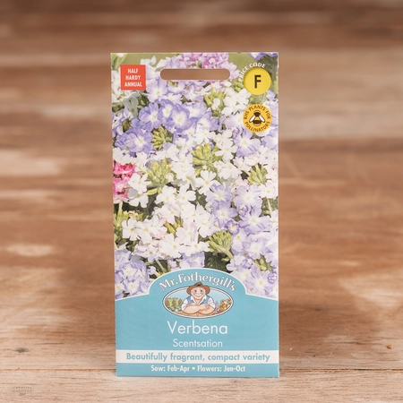 Verbena Scentsation - image 1