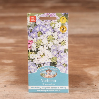 Verbena Scentsation - image 1