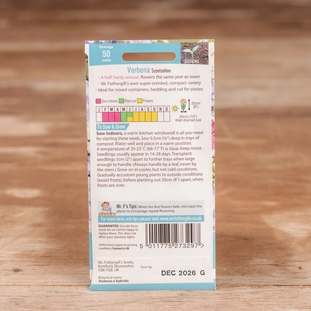 Verbena Scentsation - image 2