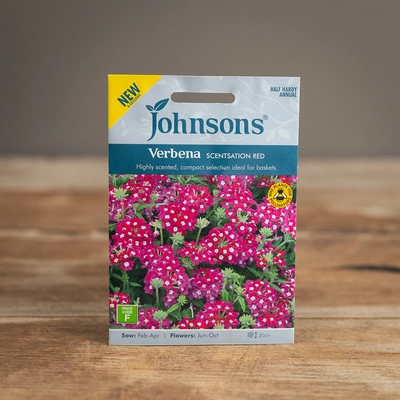 Verbena Scentsation Red - image 1