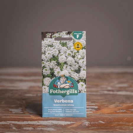 Verbena Scentsation White - image 1