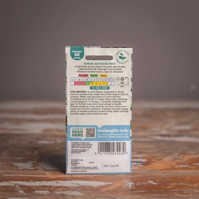 Verbena Scentsation White - image 2