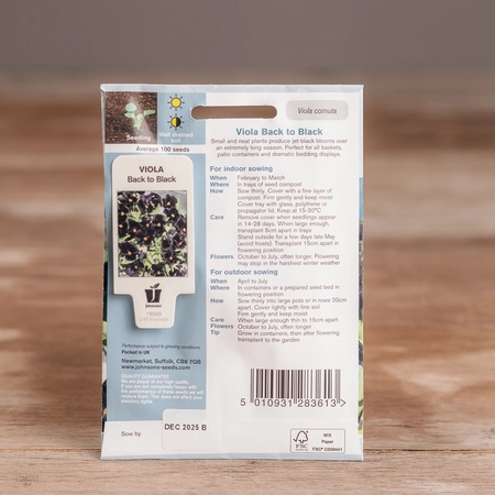 Viola Back To Black - image 2