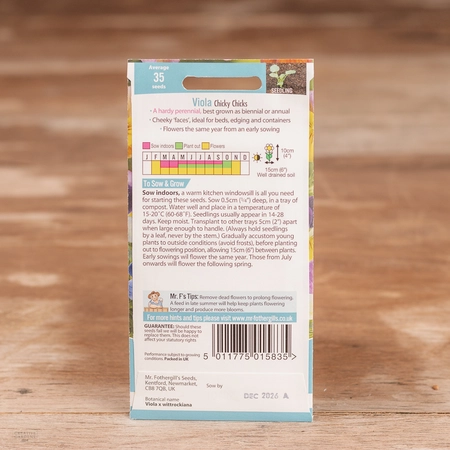 Viola Chicky Chicks - image 2