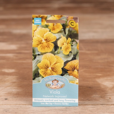 Viola Network Improved - image 1