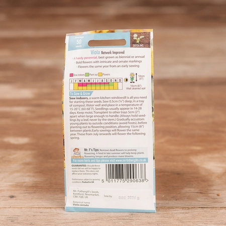 Viola Network Improved - image 2