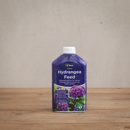 Vitax Hydrangea Feed Liquid
