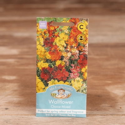 Wallflower Choice Mix - image 1