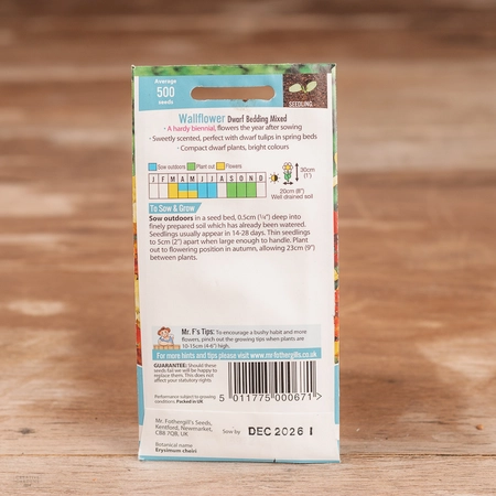 Wallflower Dwarf Bedding Mix - image 2