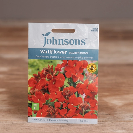 Wallflower Scarlet Bedder - image 1