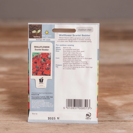 Wallflower Scarlet Bedder - image 2