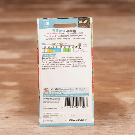 Wallflower Scarlet Bedder - image 2