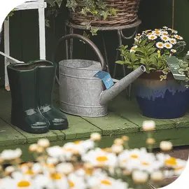 Watering