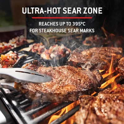 Weber Genesis EPX-435W - Black - image 5