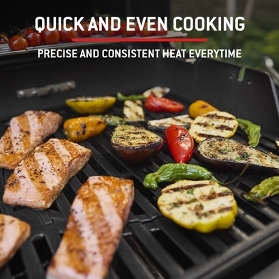 Weber Spirit E-315 - Black - image 5