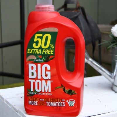 Westland Big Tom Concentrate Tomato Food 50% Extra Free