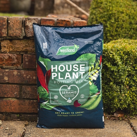 Westland Houseplant Potting Mix 25L