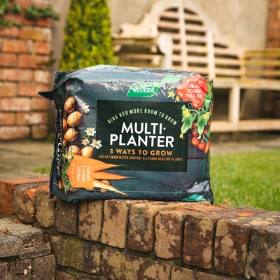 Westland Multi-Planter Peat Free - Medium