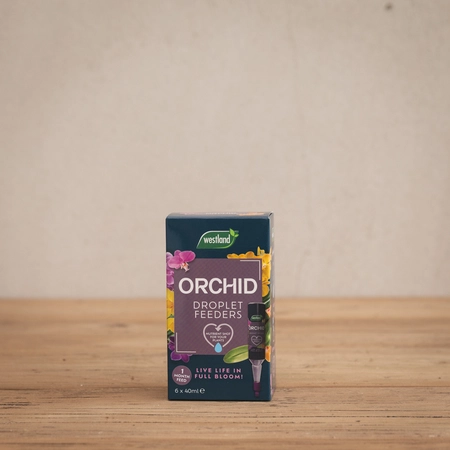 Westland Orchid Droplet Feeders Multipack (6 pack)