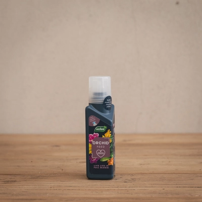 Westland Orchid Feed Concentrate 200ml