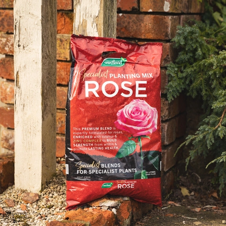 Westland Rose Planting Mix Peat Free 10L Pouch