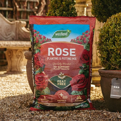 Westland Rose Planting & Potting Peat Free Mix 25L