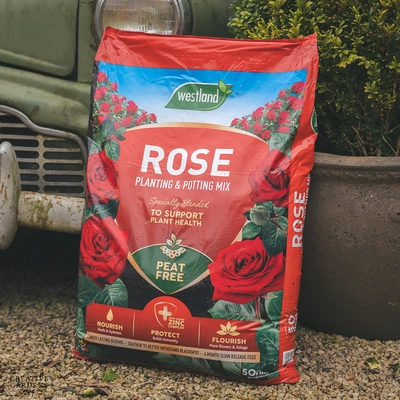Westland Rose Planting & Potting Peat Free Mix - 50L